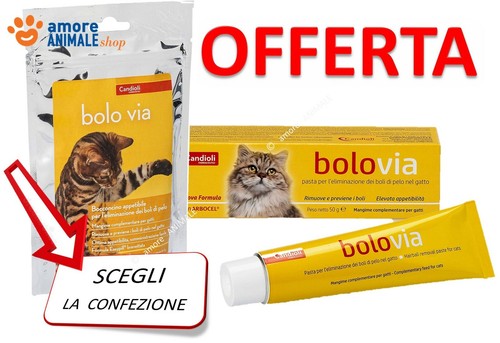 Candioli bolo via - bolo, →