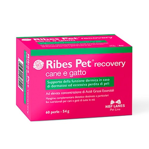 Nbf ribes pet recovery - , /