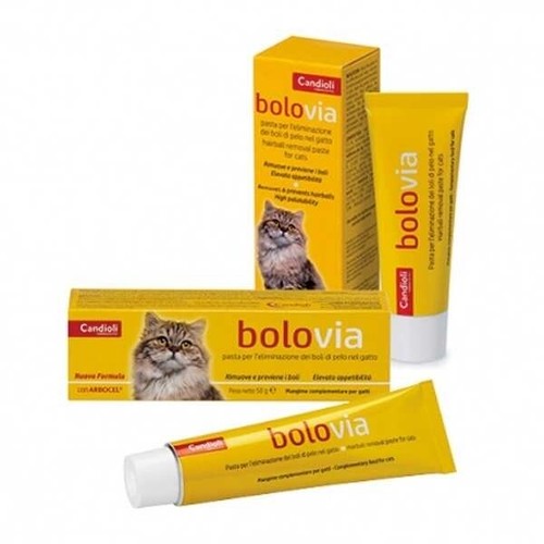 Bolo via pasta - via,