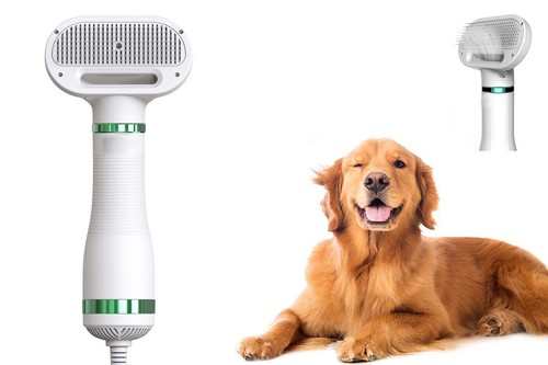 Spazzola per cane elettrica - spazzola,