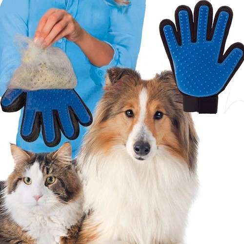 Guanto pelo mancino per cani - cani, e
