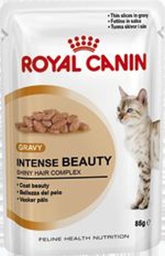 Royal gatto adulto bellezza - royal, adulto,