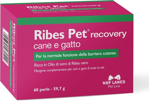 Nbf ribes pet recovery - 2, x