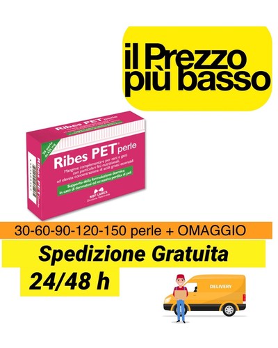 Ribes pet perle - ribes,